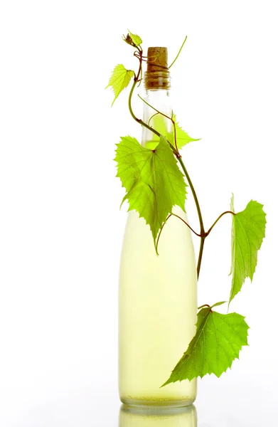 Vista della bottiglia di vino tappato con vite intorno su retro bianco — Foto Stock