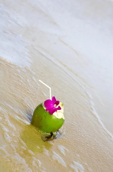 Vista de un agradable cóctel tropical fresco decorado con orquídea en la playa de arena —  Fotos de Stock