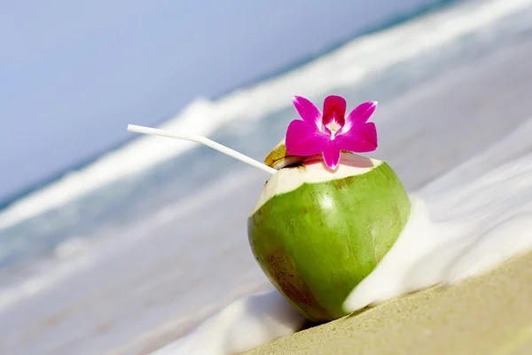Vista de un agradable cóctel tropical fresco decorado con orquídea en la playa de arena —  Fotos de Stock