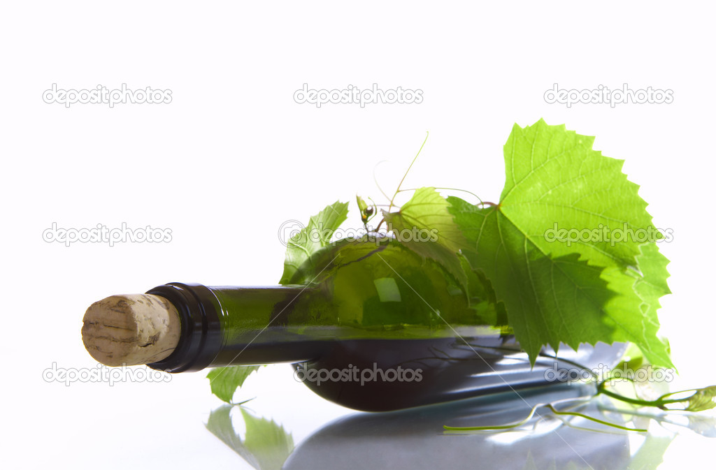 View of corked wine bottle with vine around it on white back