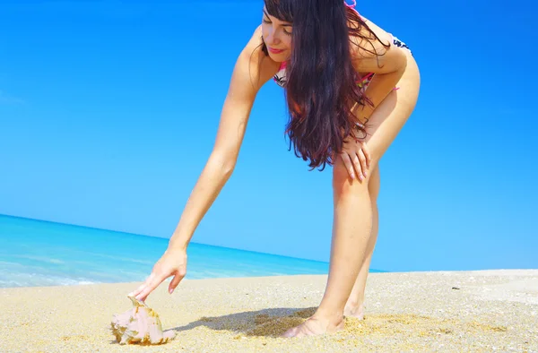 Portrait of a young gorgeous female on beach picking up sea shell — Stock Photo, Image