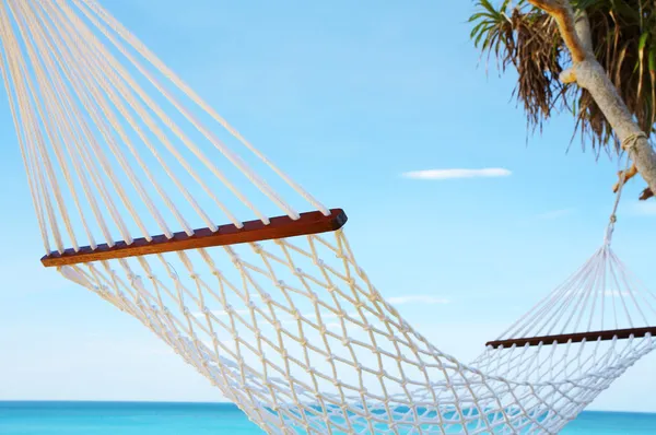 Palm and hammock — Stock Photo, Image