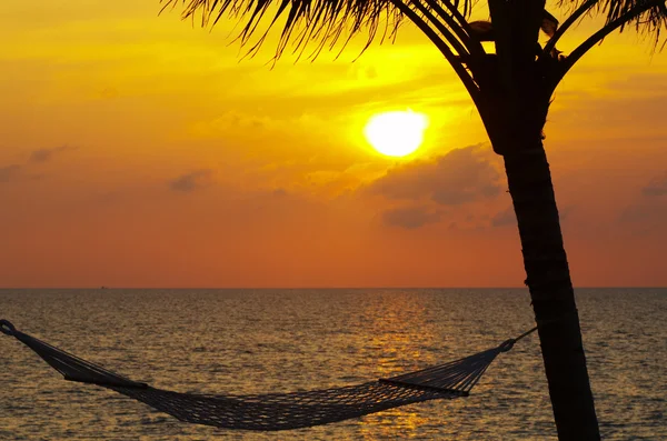 Coconut sunset — Stock Photo, Image