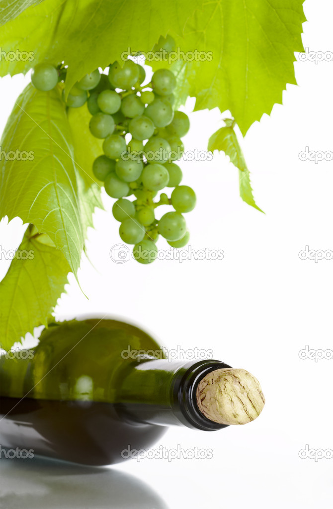 View of corked wine bottle with vine around it on white back