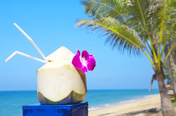 Vista de un agradable cóctel tropical fresco decorado con orquídea en la playa de arena —  Fotos de Stock