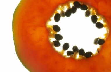 güzel taze kırmızı papaya makro bir bakış beyaz arka