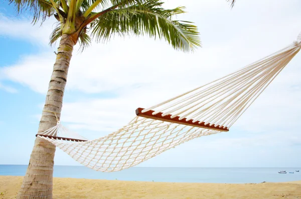 Palm and hammock — Stock Photo, Image