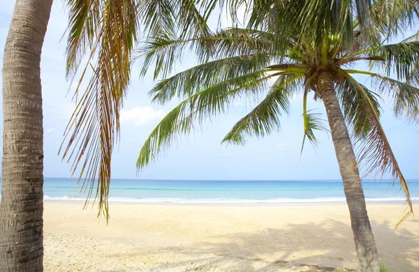 Vista da praia tropical agradável com algumas palmas ao redor — Fotografia de Stock