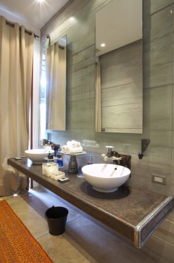 Banyo odası karışık stil iç görünüm