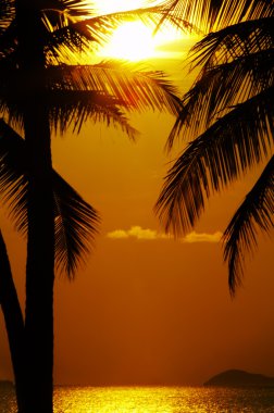 Tropic günbatımı