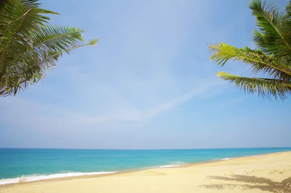 漂亮的热带海滩与一些棕榈树围绕的视图 — 图库照片