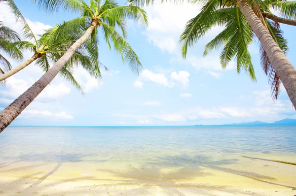 Blick auf schönen tropischen Strand mit ein paar Palmen — Stockfoto
