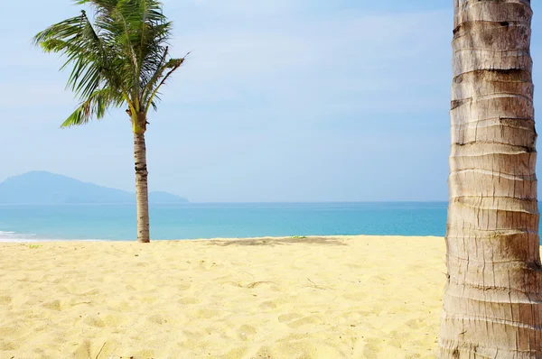 Вид на красивий тропічний пляж з деякими долонями навколо — стокове фото