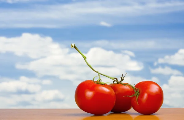 Vista de tres bonitos tomates rojos grandes —  Fotos de Stock