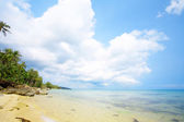 Картина, постер, плакат, фотообои "view of nice tropical beach with some palms around", артикул 26055821