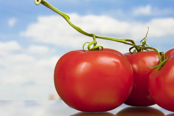 View of three nice big red tomatoes — Stock Photo, Image