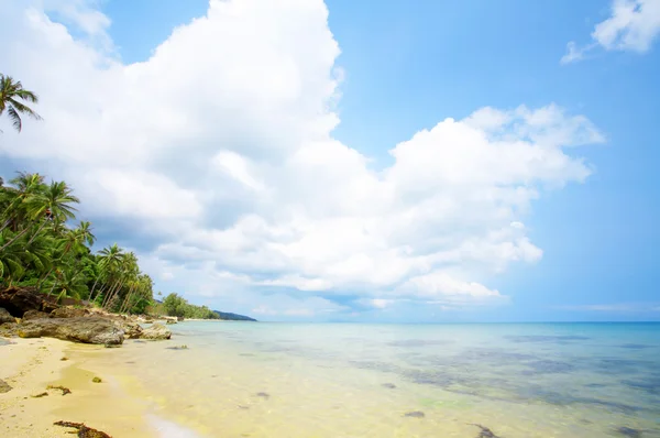 Veduta della bella spiaggia tropicale con alcune palme intorno — Foto Stock