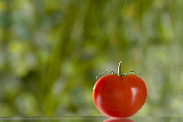 Güzel kırmızı taze domates bakış yeşil arka kapatın — Stok fotoğraf