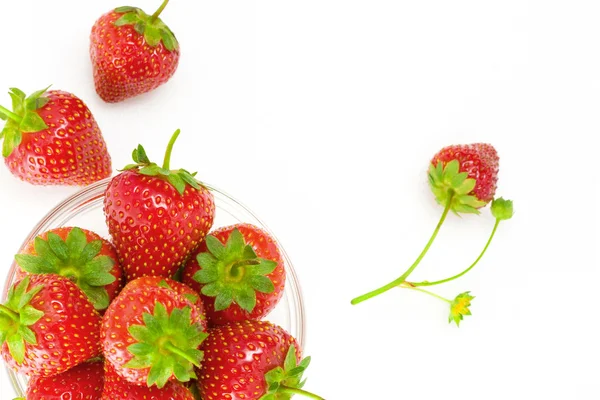Foto chave alta de prato de frutas cheio de bons morangos vermelhos — Fotografia de Stock