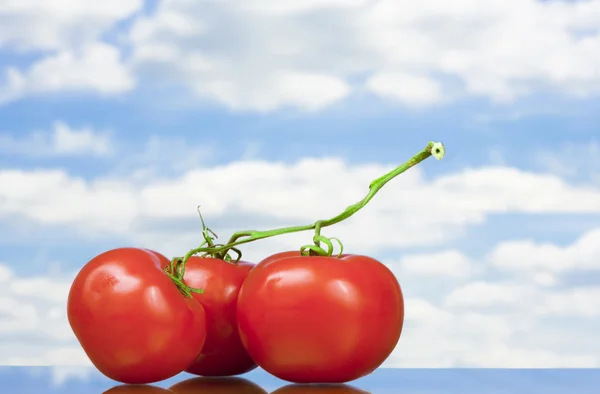 Vista de tres bonitos tomates rojos grandes —  Fotos de Stock