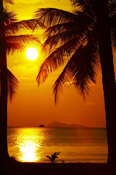 Tropic sunset Royalty Free Stock Photos