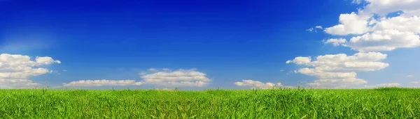 Blick auf das Sommertal und den blauen Himmel. Banner, viel Kopierraum — Stockfoto