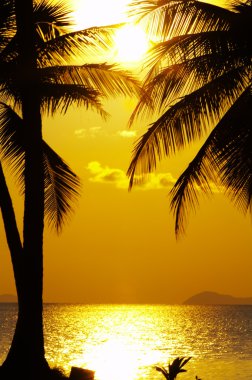 Tropic günbatımı