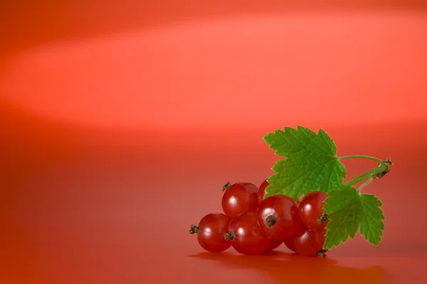 Nahaufnahme von schönen frischen roten Johannisbeeren auf rotem Rücken — Stockfoto