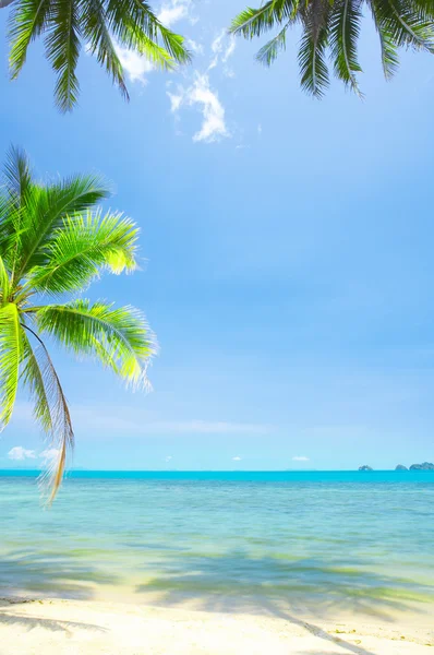 Uitzicht op mooie tropische strand met sommige palmen rond — Stockfoto