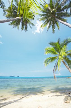 Картина, постер, плакат, фотообои "вид на красивый пляж с пальмами вокруг
", артикул 26156743