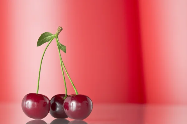 Zblízka pohled pěkné červené čerstvých Cherry na růžové zpět — Stock fotografie