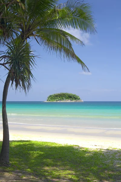 Вид на красивый пляж с пальмами вокруг — стоковое фото