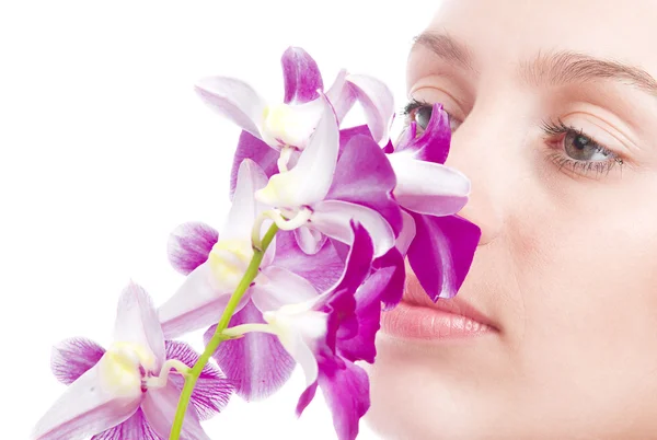 Orchidorchid — Stock Photo, Image