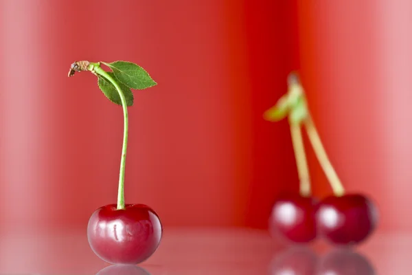 Närbild syn på fina röda färska körsbär på rosa baksida — Stockfoto