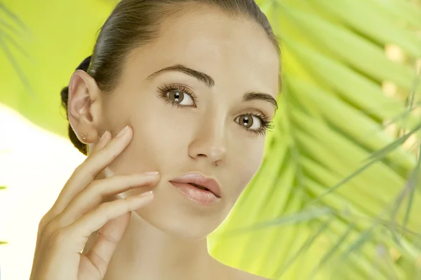 Retrato de joven hermosa mujer en hojas verdes espalda —  Fotos de Stock