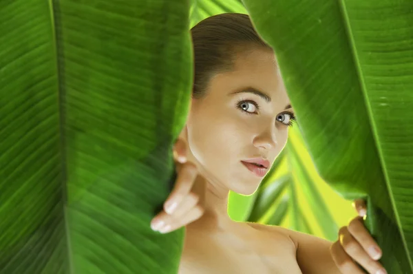 Ritratto di giovane bella donna su foglie verdi indietro — Foto Stock