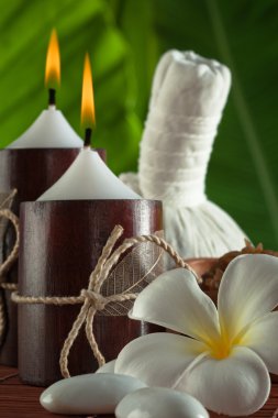 spa Tema nesnelerin bir görünümünü yeşil sırt yukarıya kapatmak