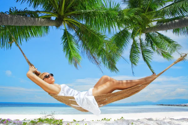 In tropic — Stock Photo, Image