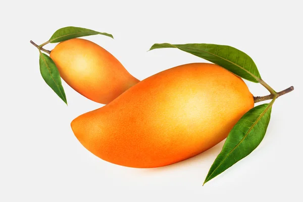 Mango — Stock Photo, Image