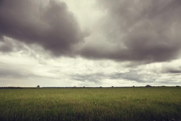 Nice green hill on sky background — Stock Photo, Image