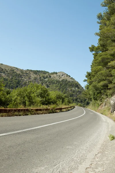 Empty road in summer environment — Stock Photo, Image