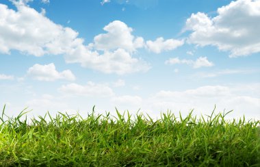 Güzel yeşil çimlerin ve mavi gökyüzünün manzarası