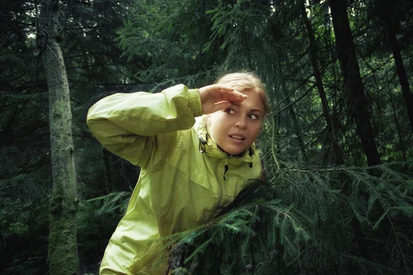 Portret van aantrekkelijk meisje in het forest — Stockfoto