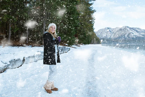 Queda de neve — Fotografia de Stock