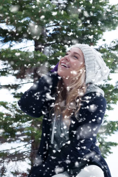 Queda de neve — Fotografia de Stock