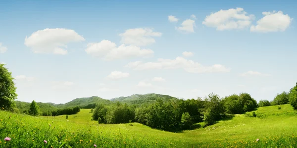 Vallée d'été — Photo