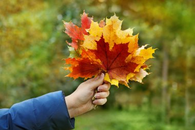 kadın el ile yaprakları