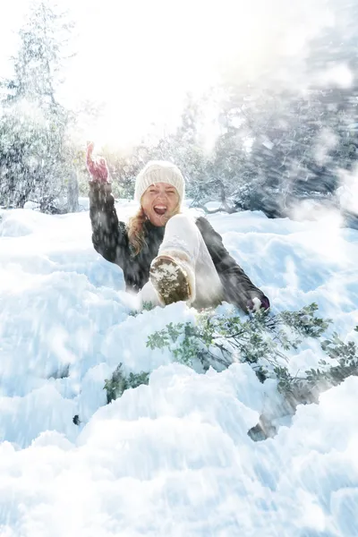 Queda de neve — Fotografia de Stock