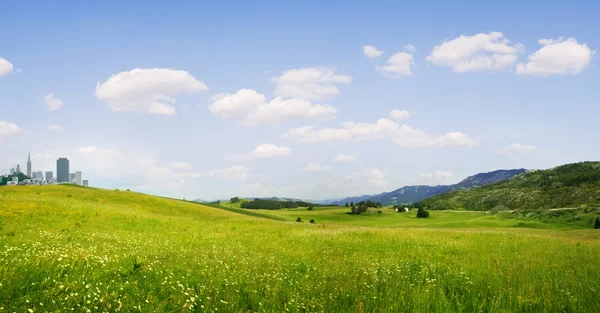 Zomer vallei — Stockfoto