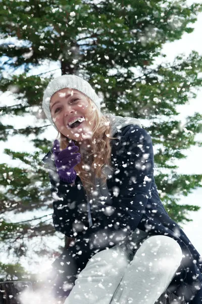 Sneeuwval — Stockfoto